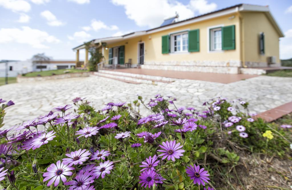 Villa Raimonda Putifigari Exterior photo